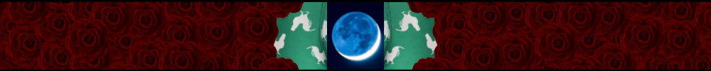 Ara Ara profile banner