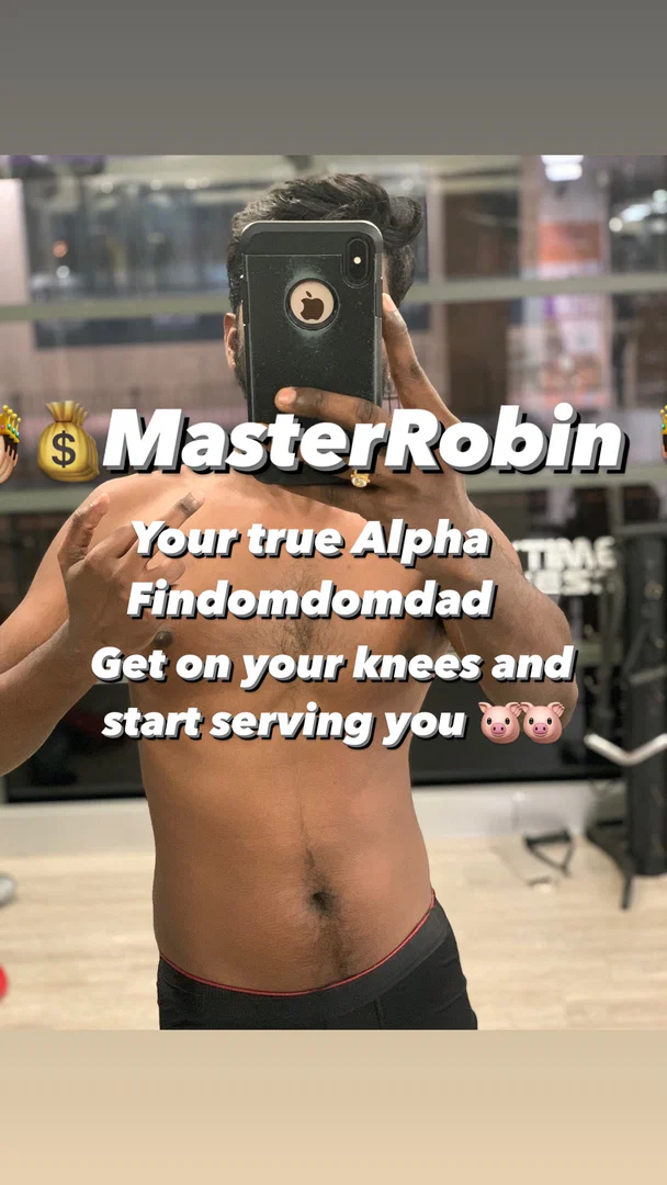 MasterRobin profile banner