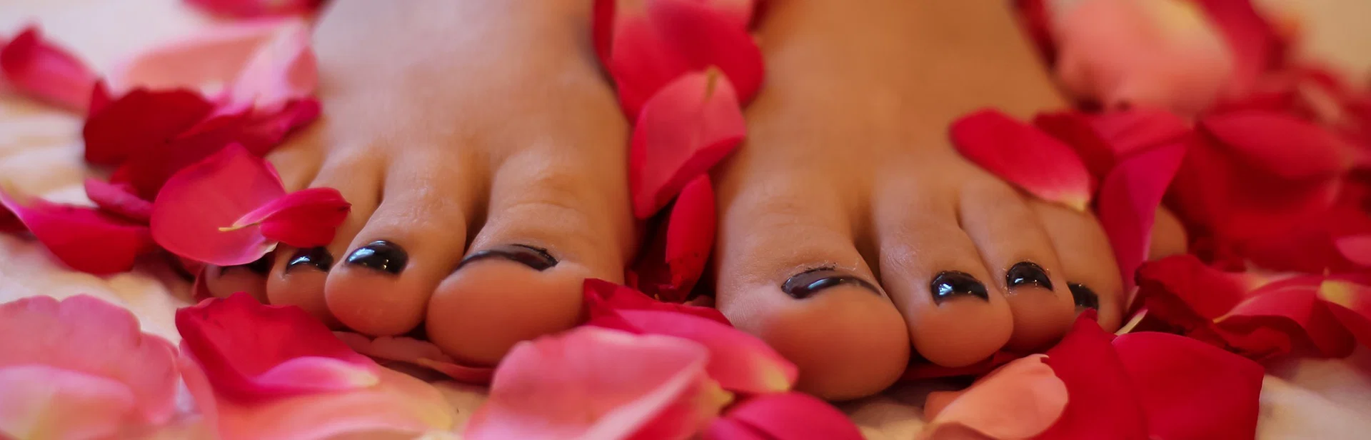 TwinkleBless profile banner