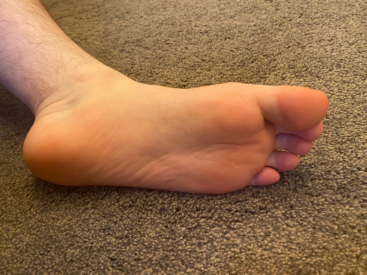 Barefoot bunnies profile banner