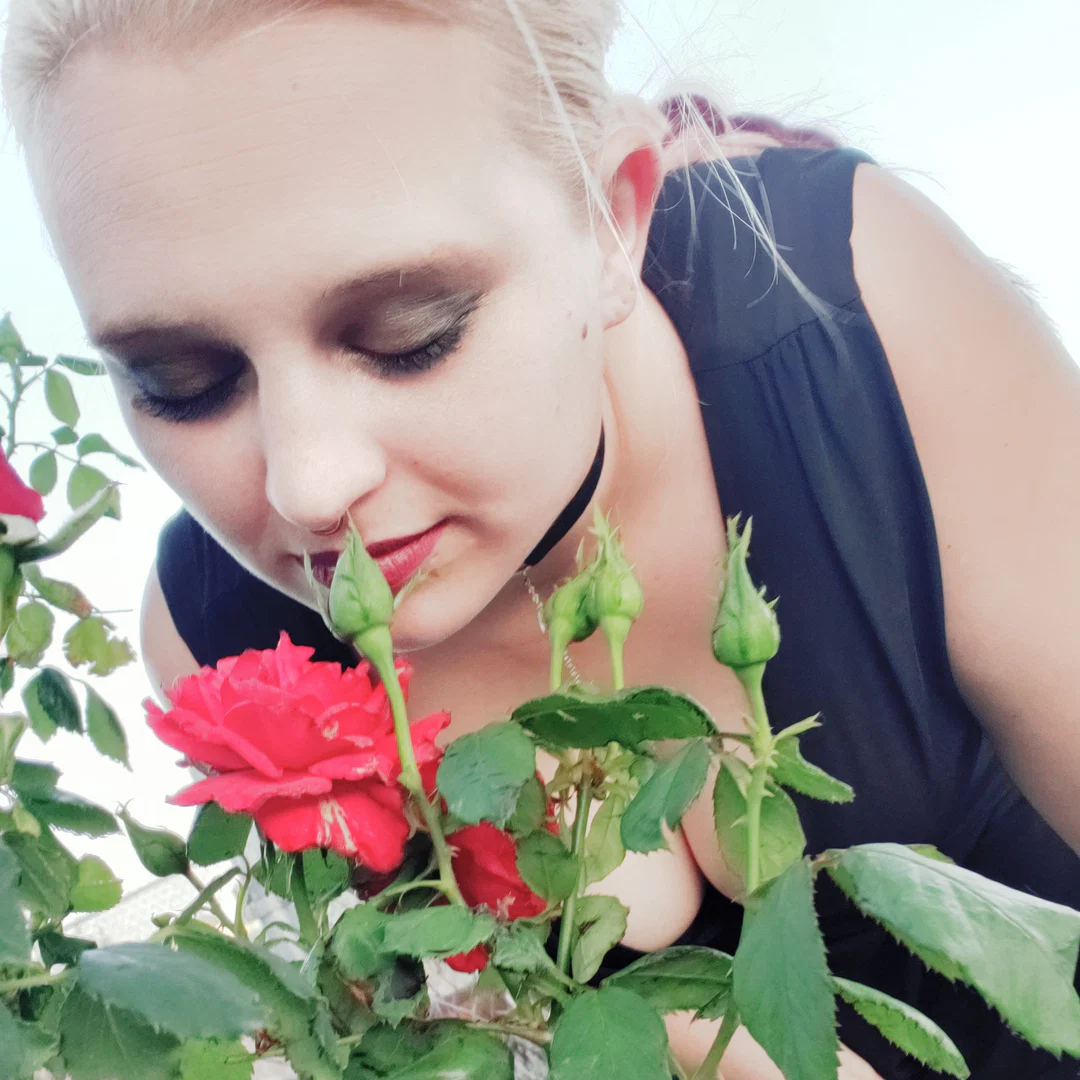SillyHippie profile banner