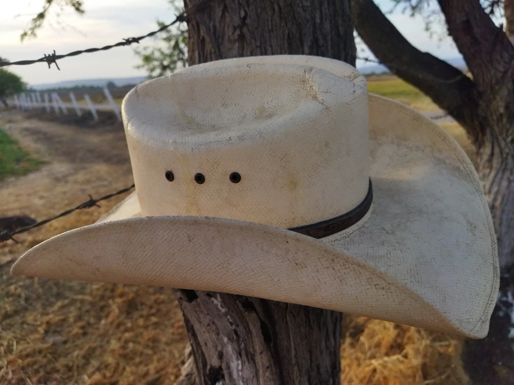 vaquero mexicano