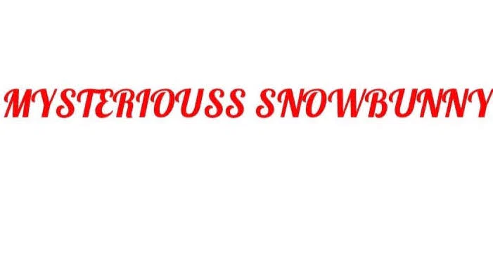 Mysterious Snowbunny profile banner