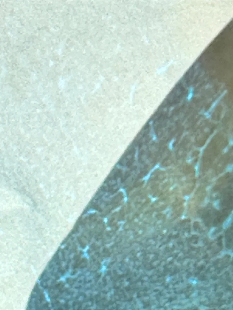 Xeva profile banner