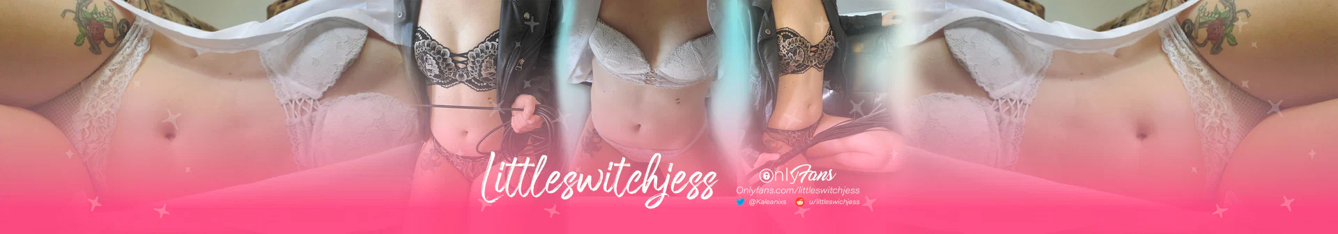 littleswitchjess profile banner