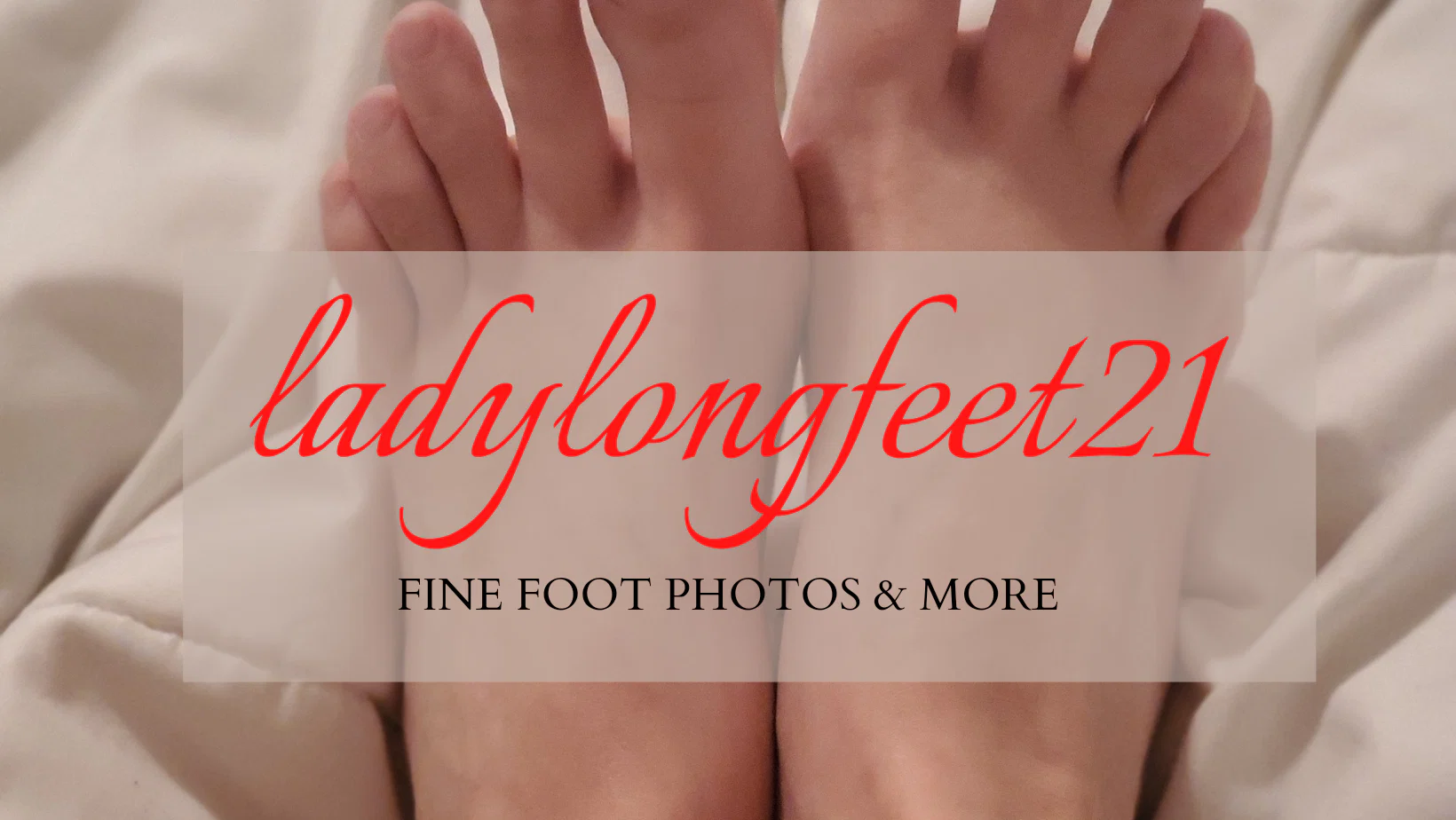 Lady Longfeet profile banner