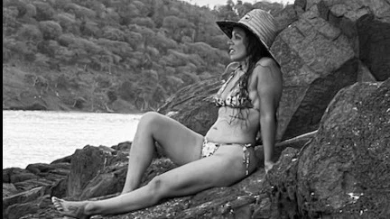 Rylie Rogue profile banner