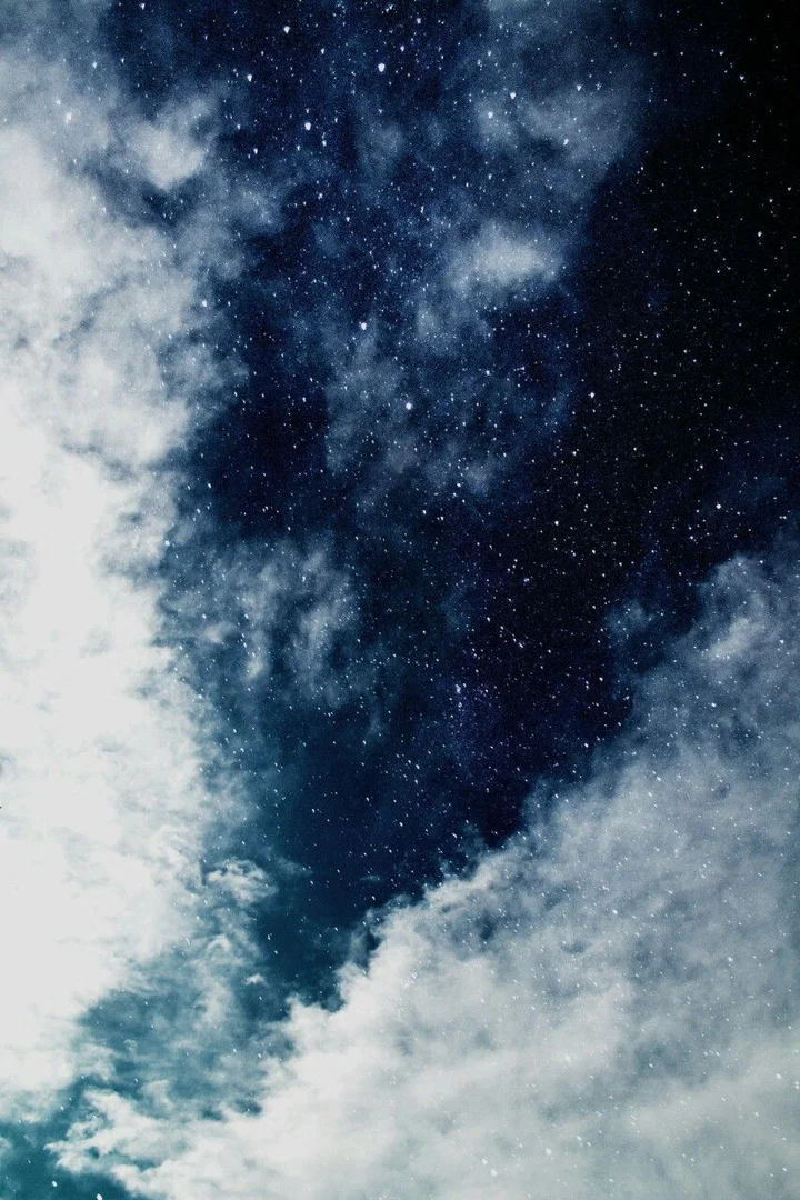 renee π profile banner