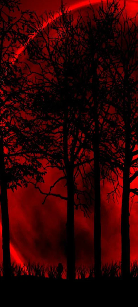 Karli Venom profile banner