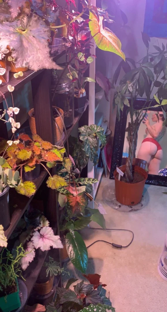 Rosalie Bea profile banner