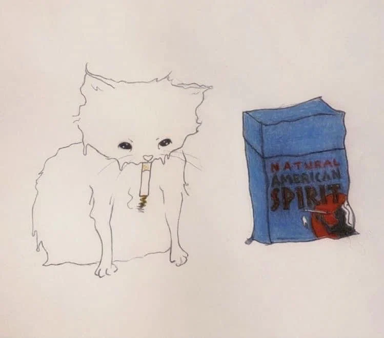 π€πLanaππ€ profile banner