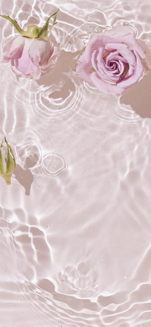 beebo💚✨ profile banner