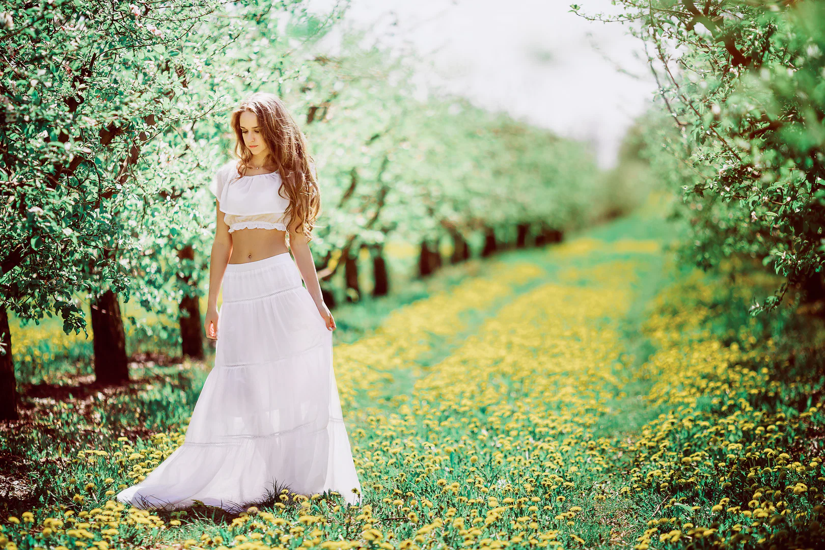 Victoria profile banner