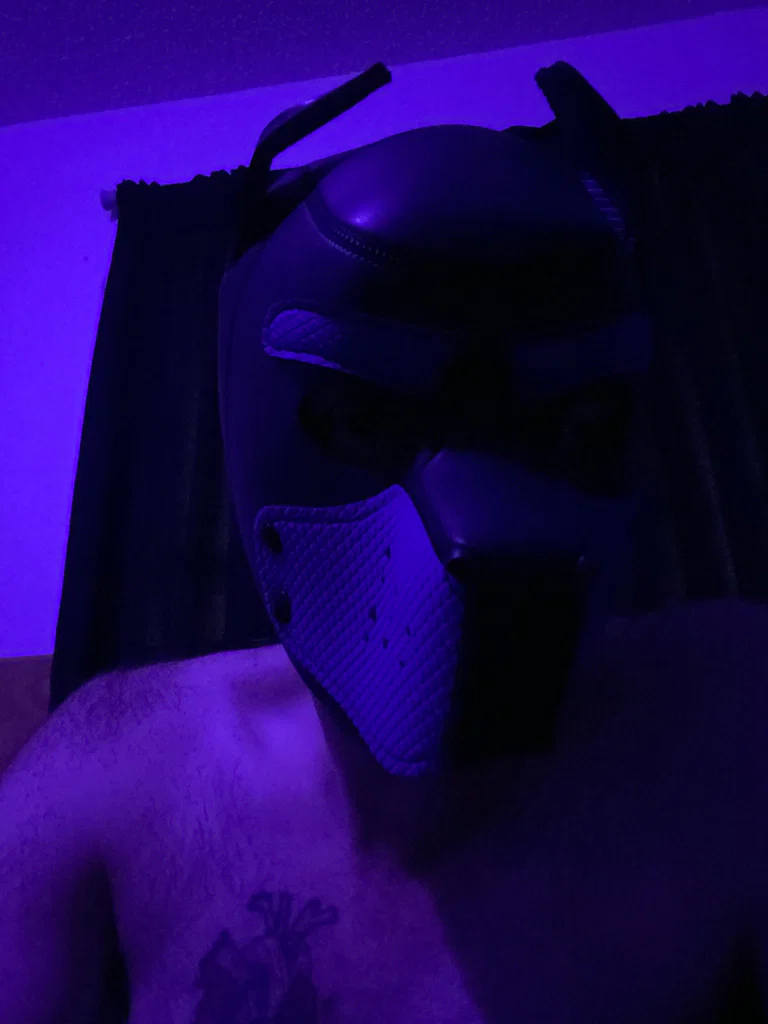 Pup Cap'n