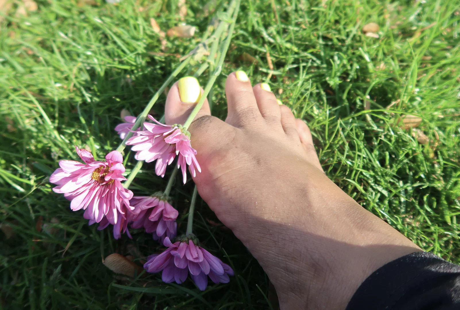 Feetqueen4 profile banner