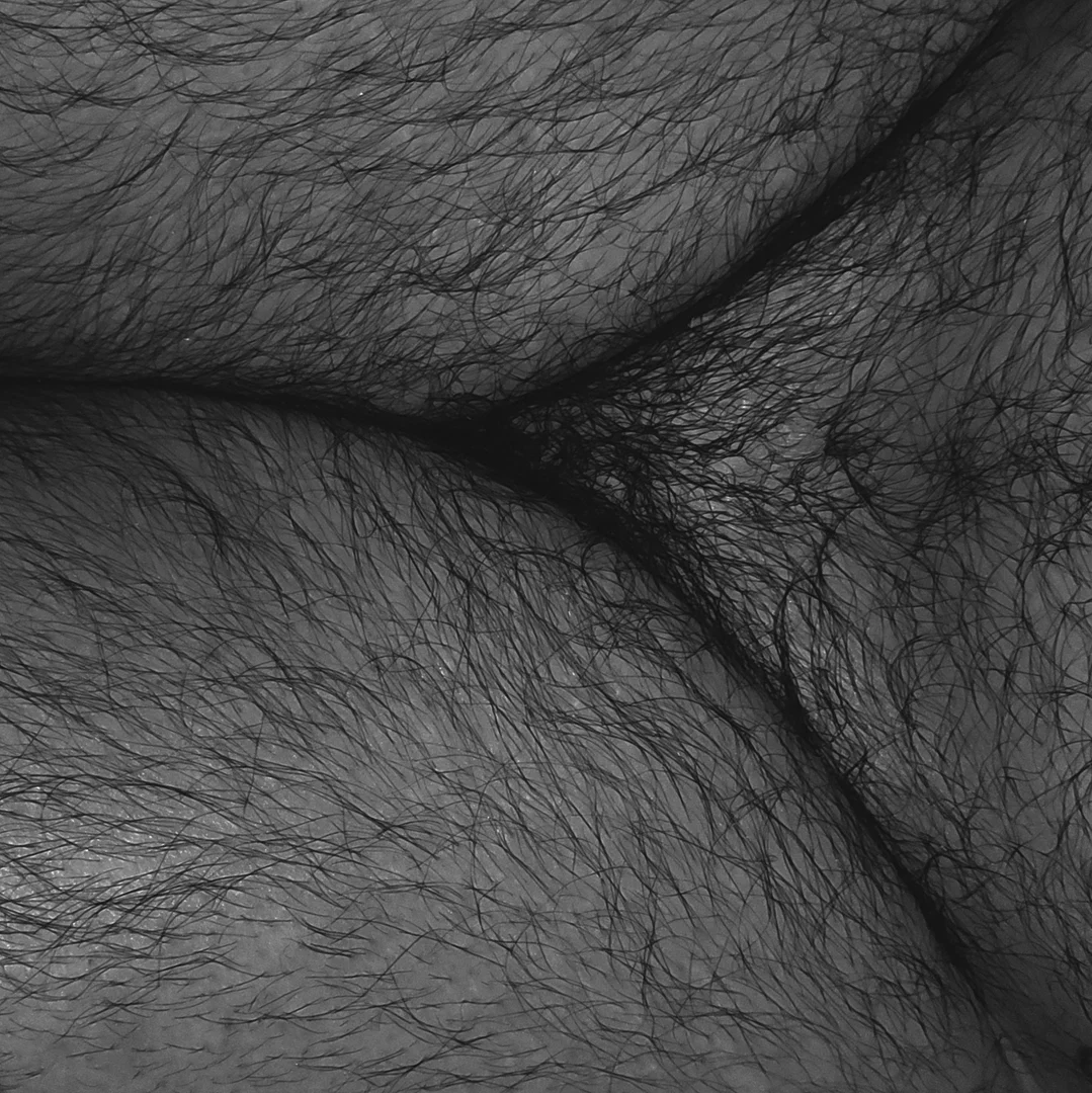 ThiccOgre profile banner