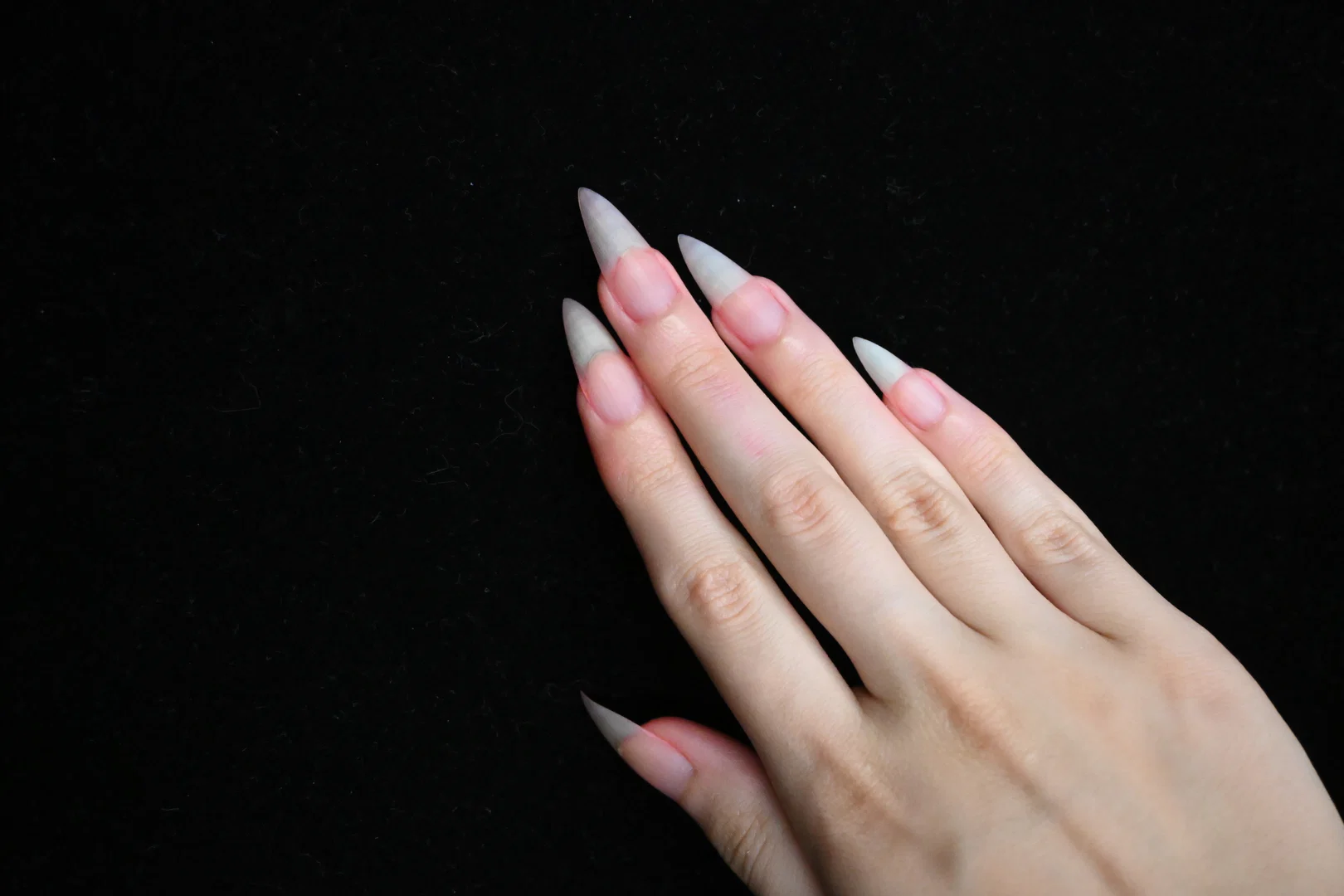 nailsit profile banner