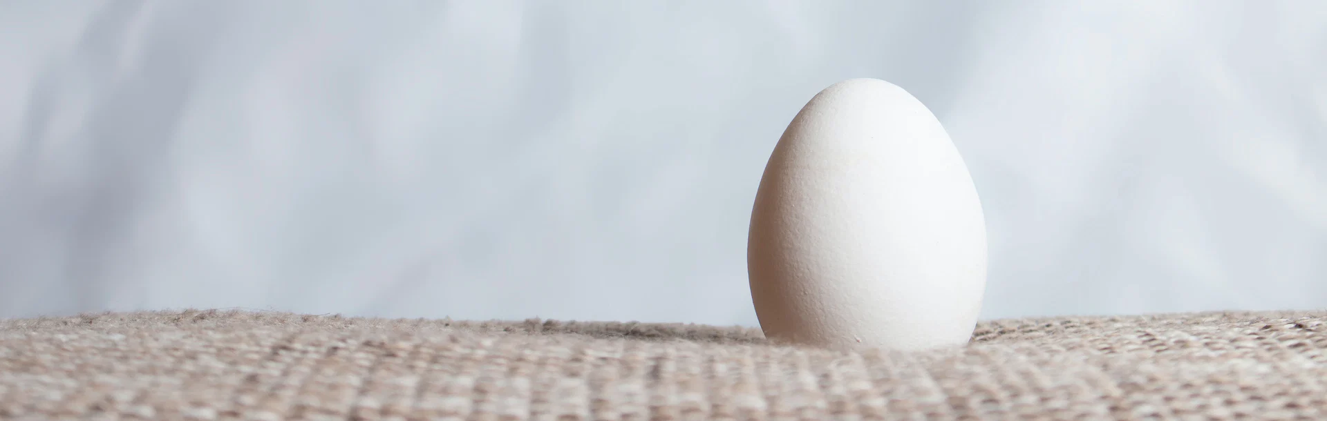 An Egg profile banner