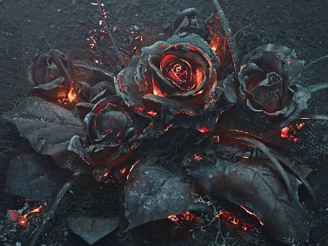 WiltedBlackRose profile banner