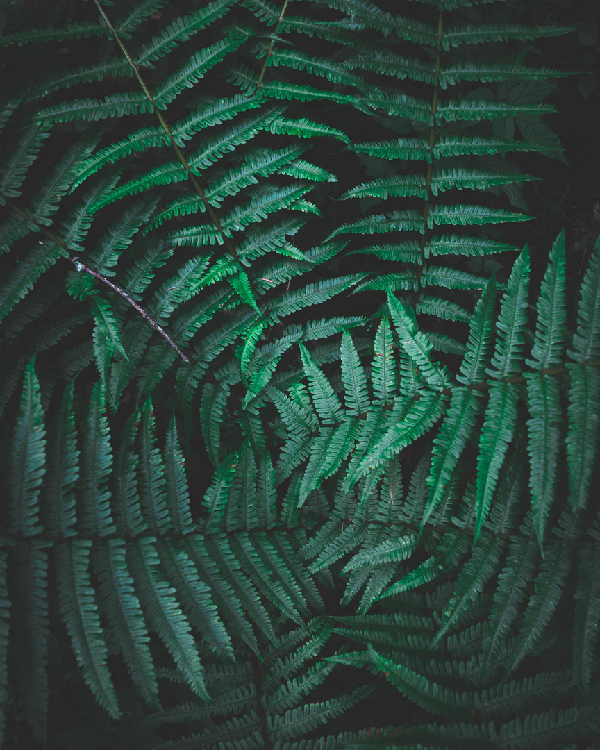 Rainy profile banner