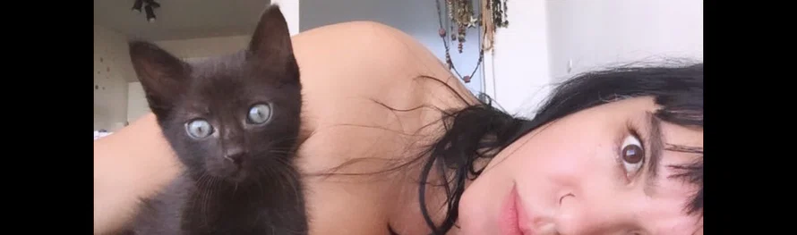 Bunny profile banner