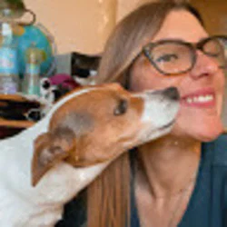 Graziana Antonaccio's avatar