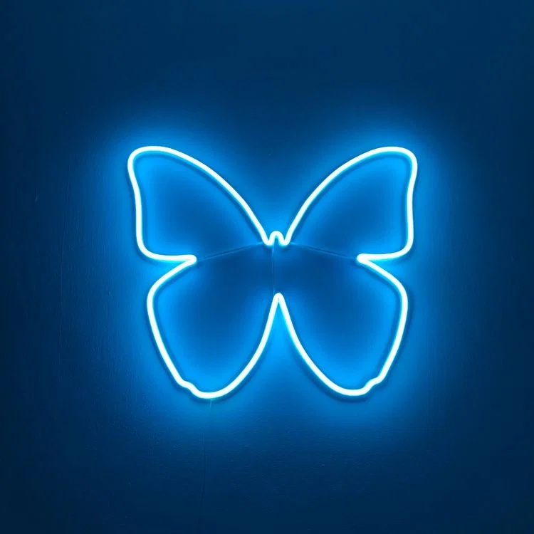 🦋 profile banner