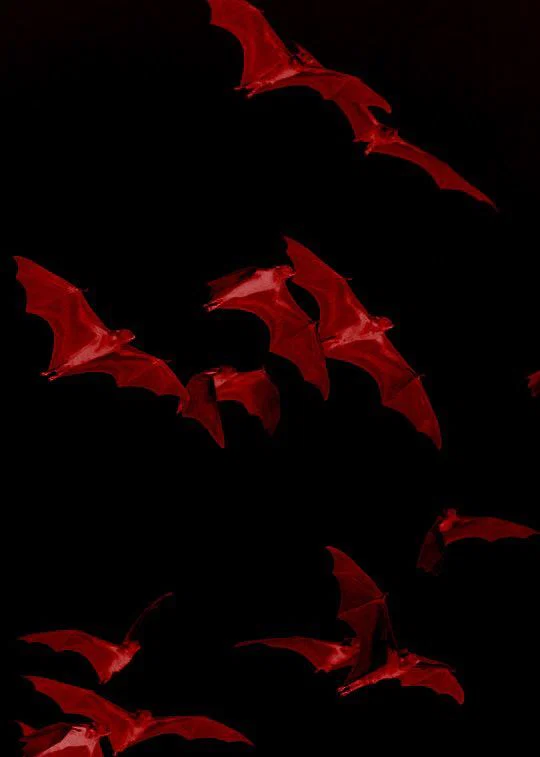 sadsatan999 profile banner