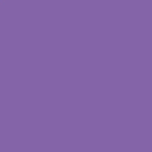 Lady Papillon profile banner