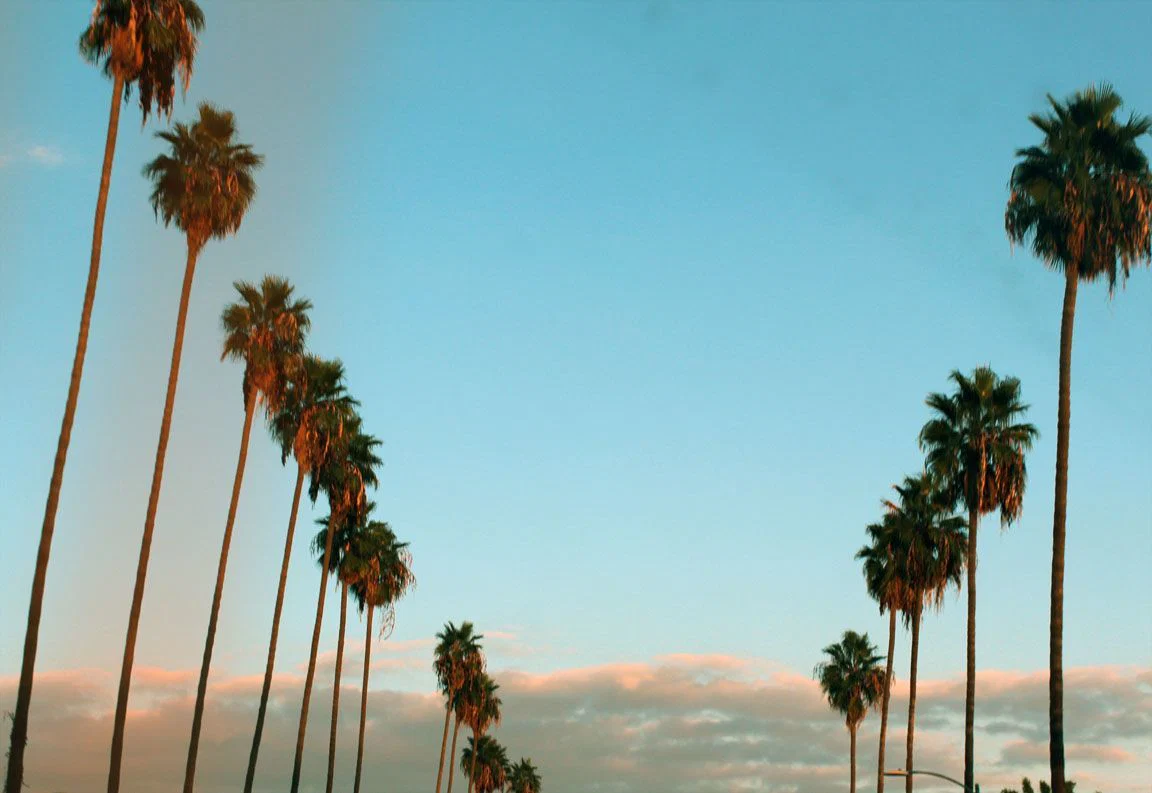Blake Carrington profile banner