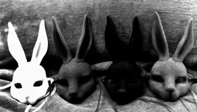 Bunny profile banner