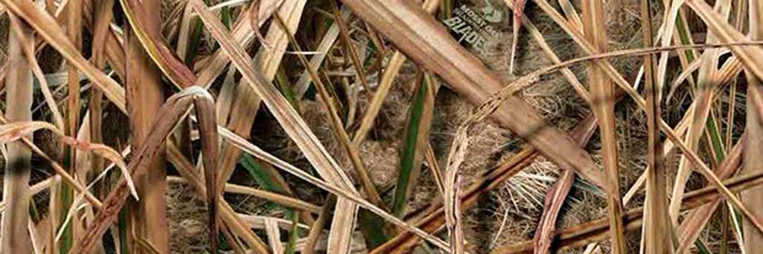 Fagyu Beef profile banner