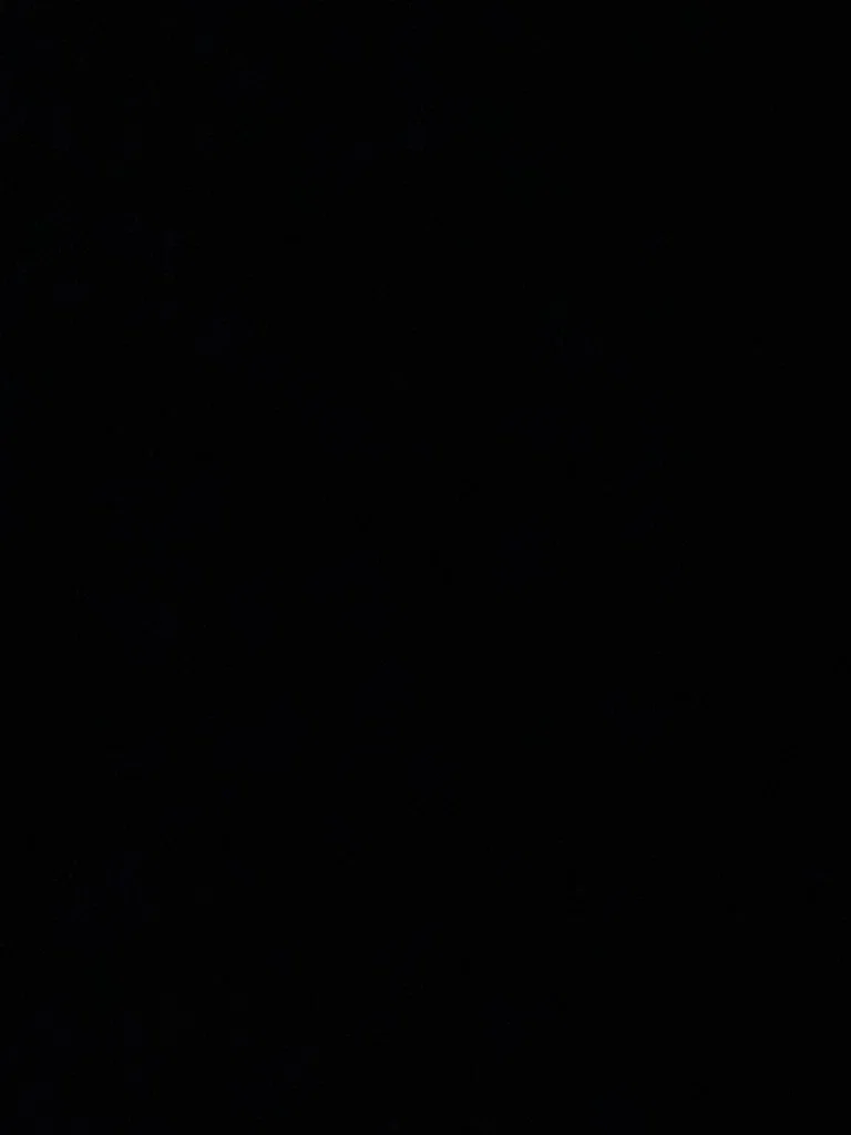 Internet Alt