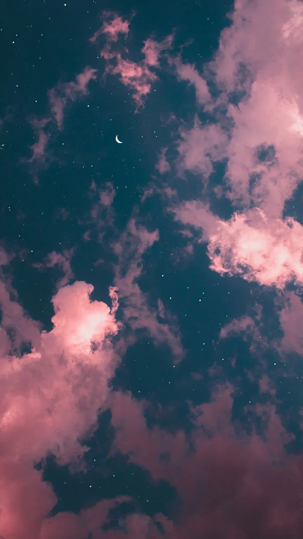 Cherry Rose profile banner