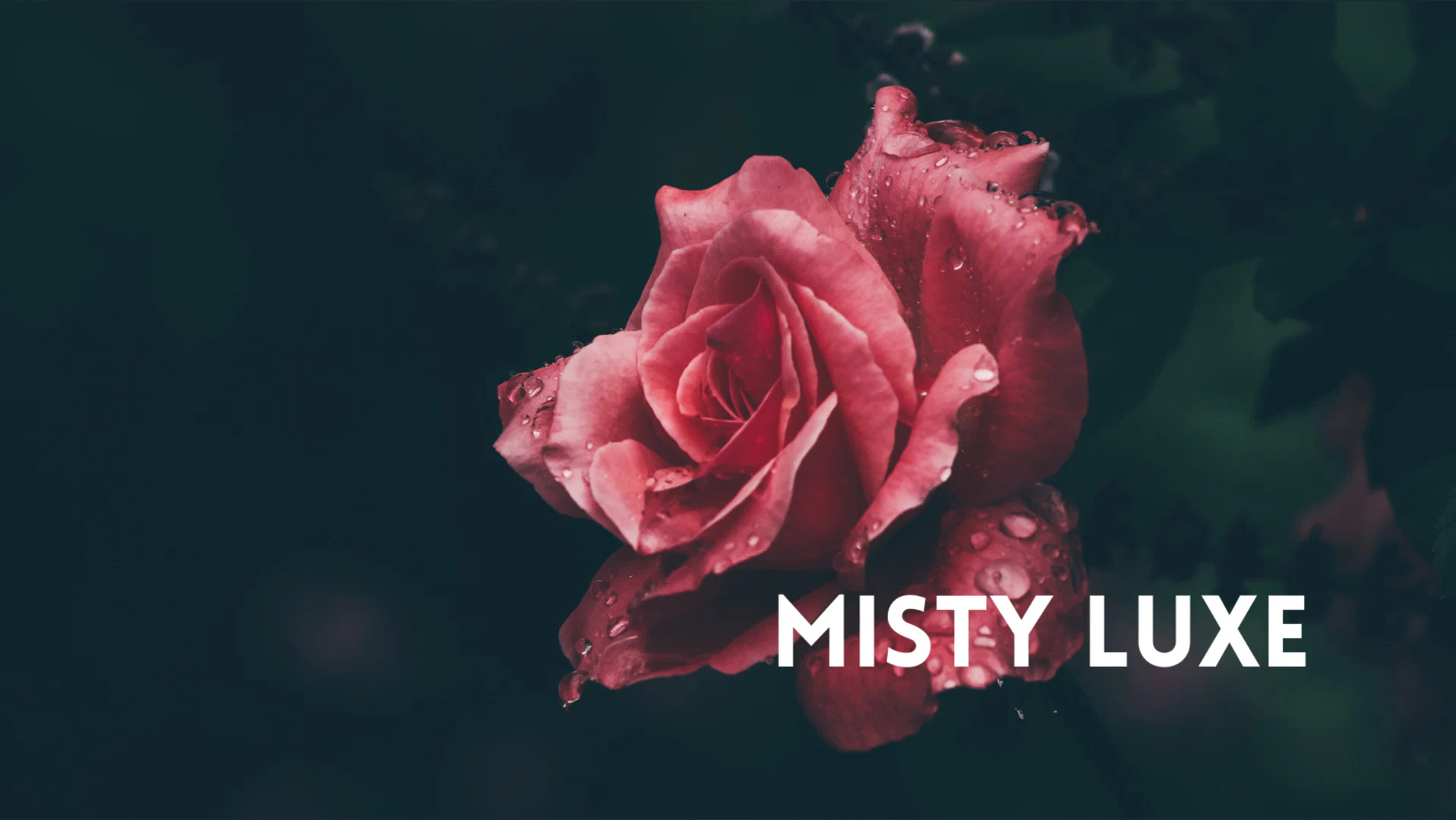 Misty Luxe profile banner