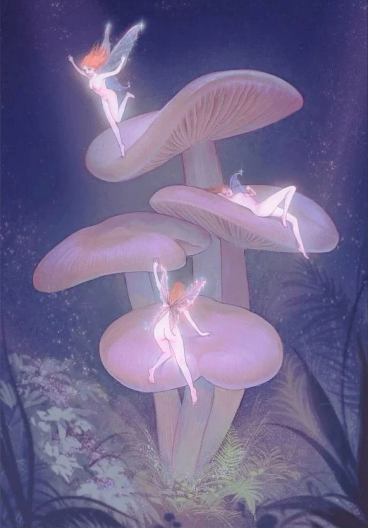 acid fairy profile banner