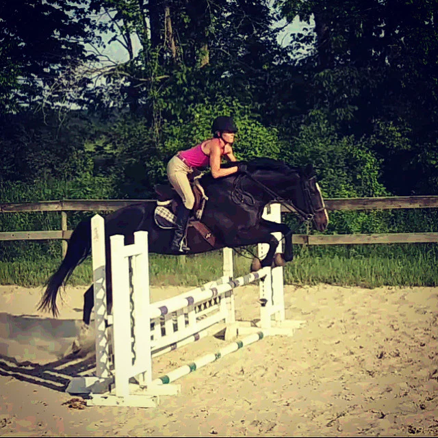 Horseplay profile banner