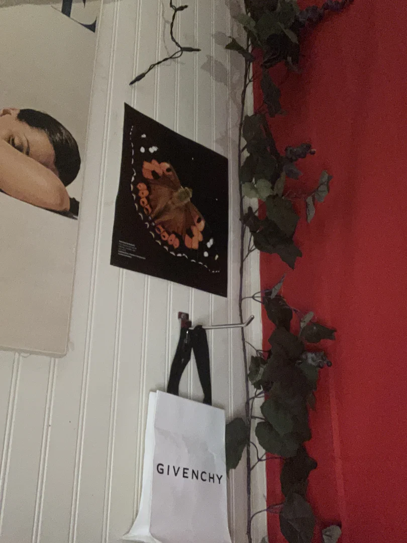 Kiss profile banner