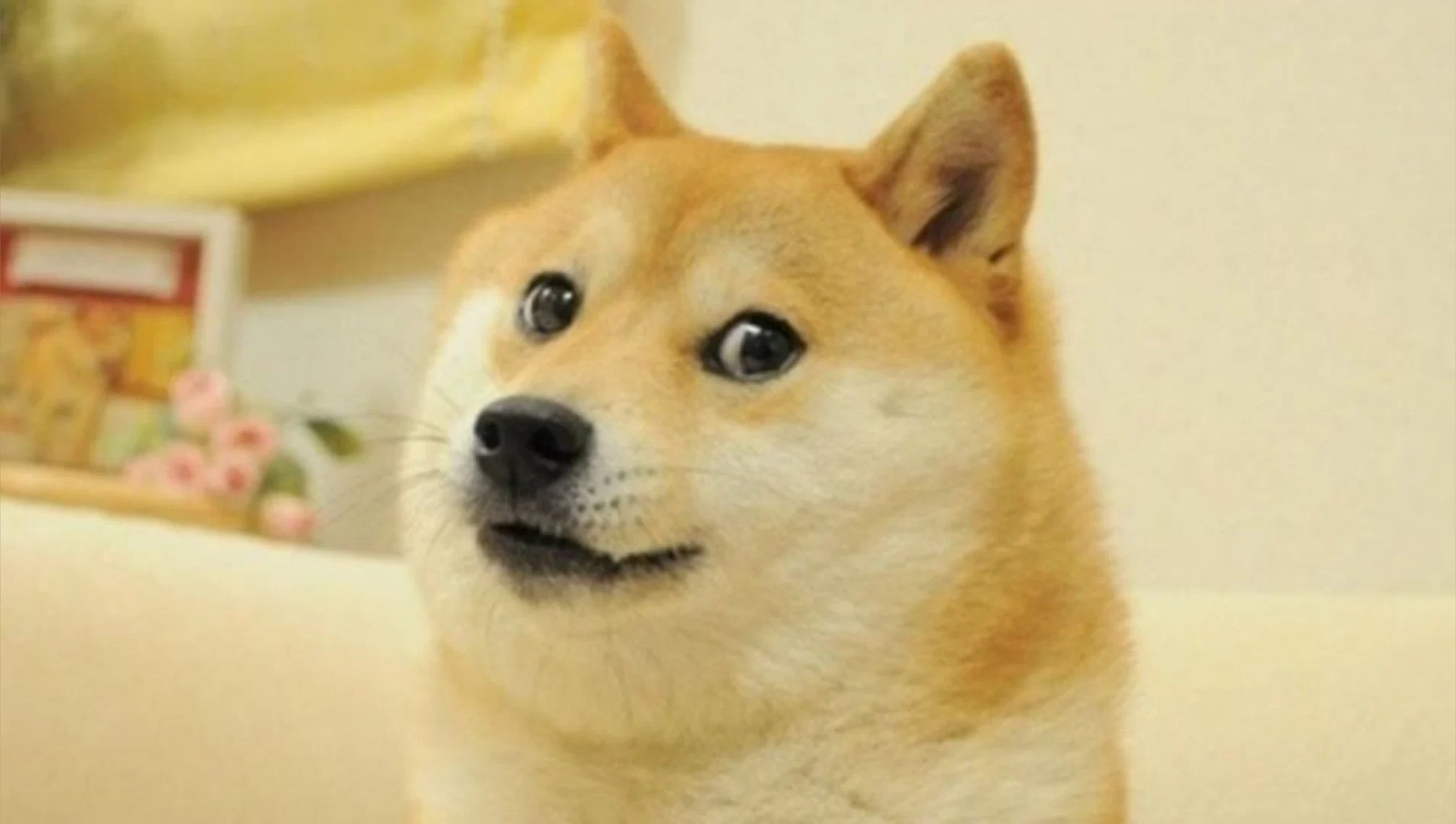 Such Doge profile banner