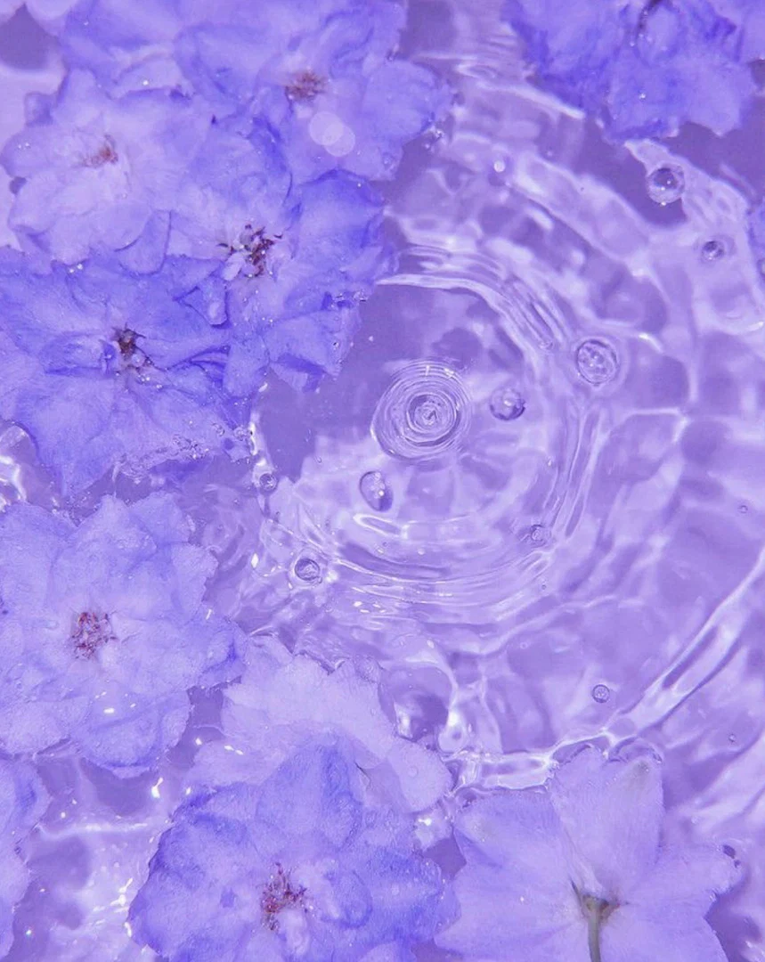 Rose π profile banner