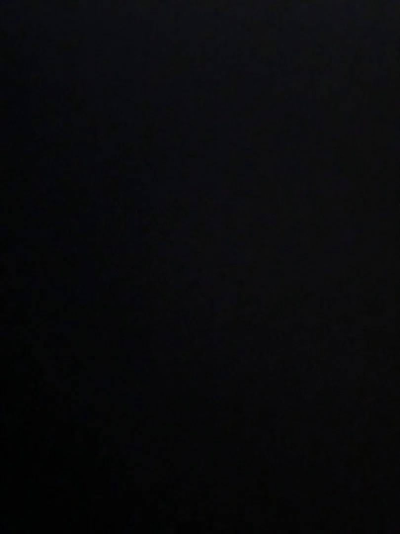 CocoPuss profile banner