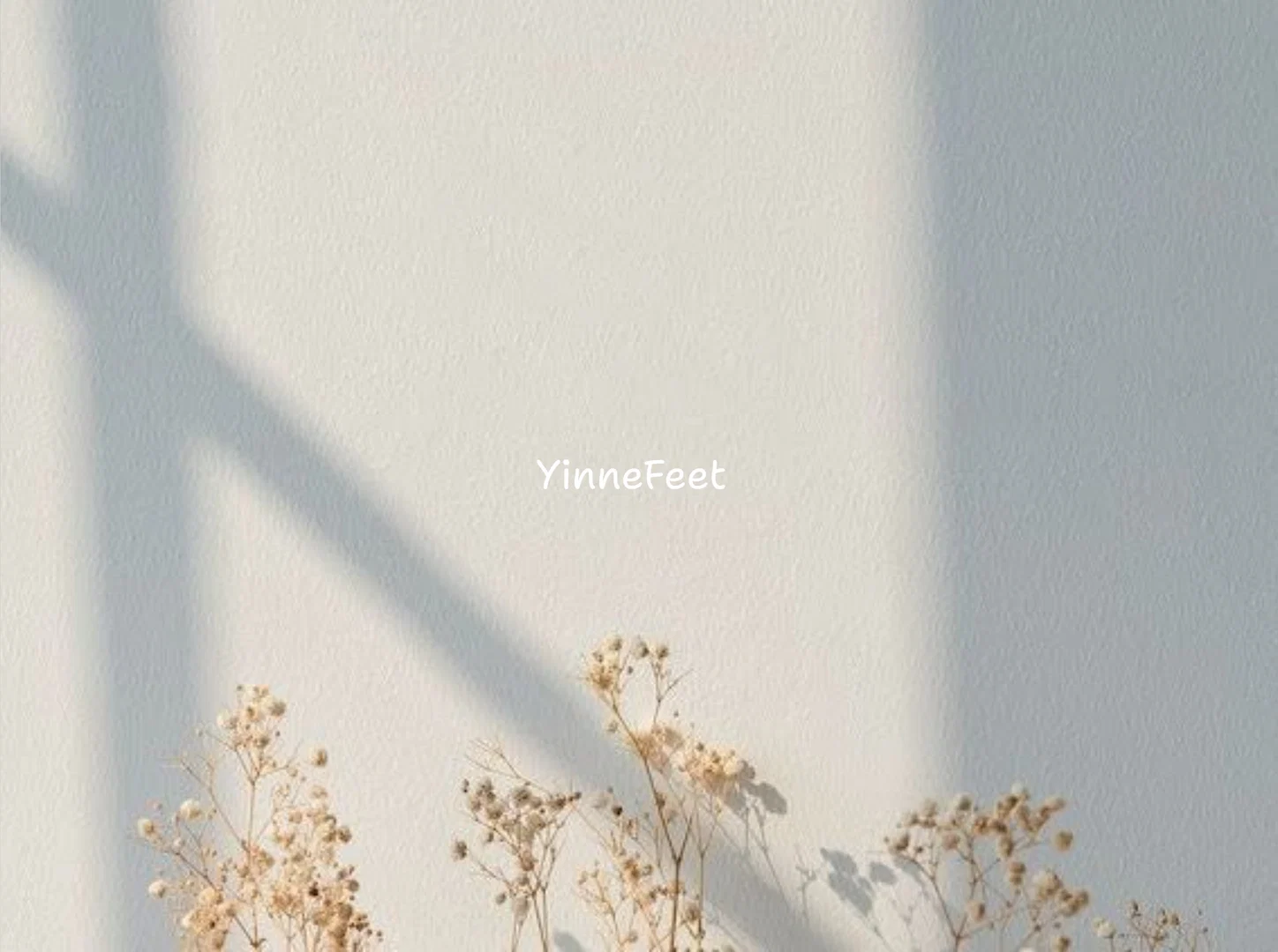 YinneFeet profile banner