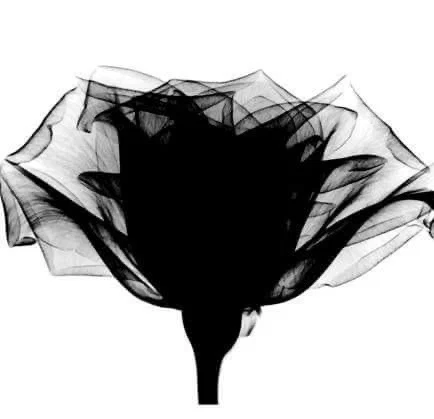 The Scary Lilith. profile banner