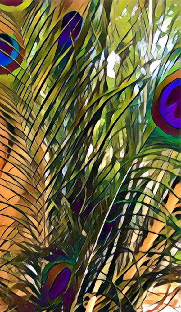Birdie__'s avatar