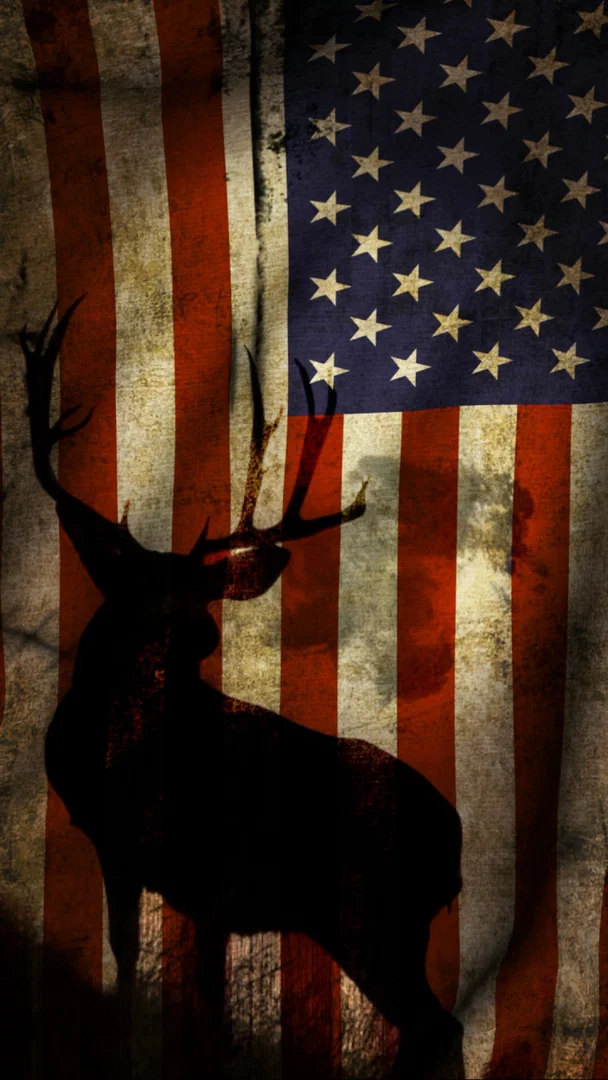Jarrett profile banner