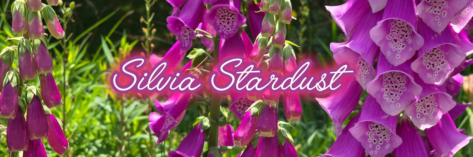 Silvia Stardust profile banner