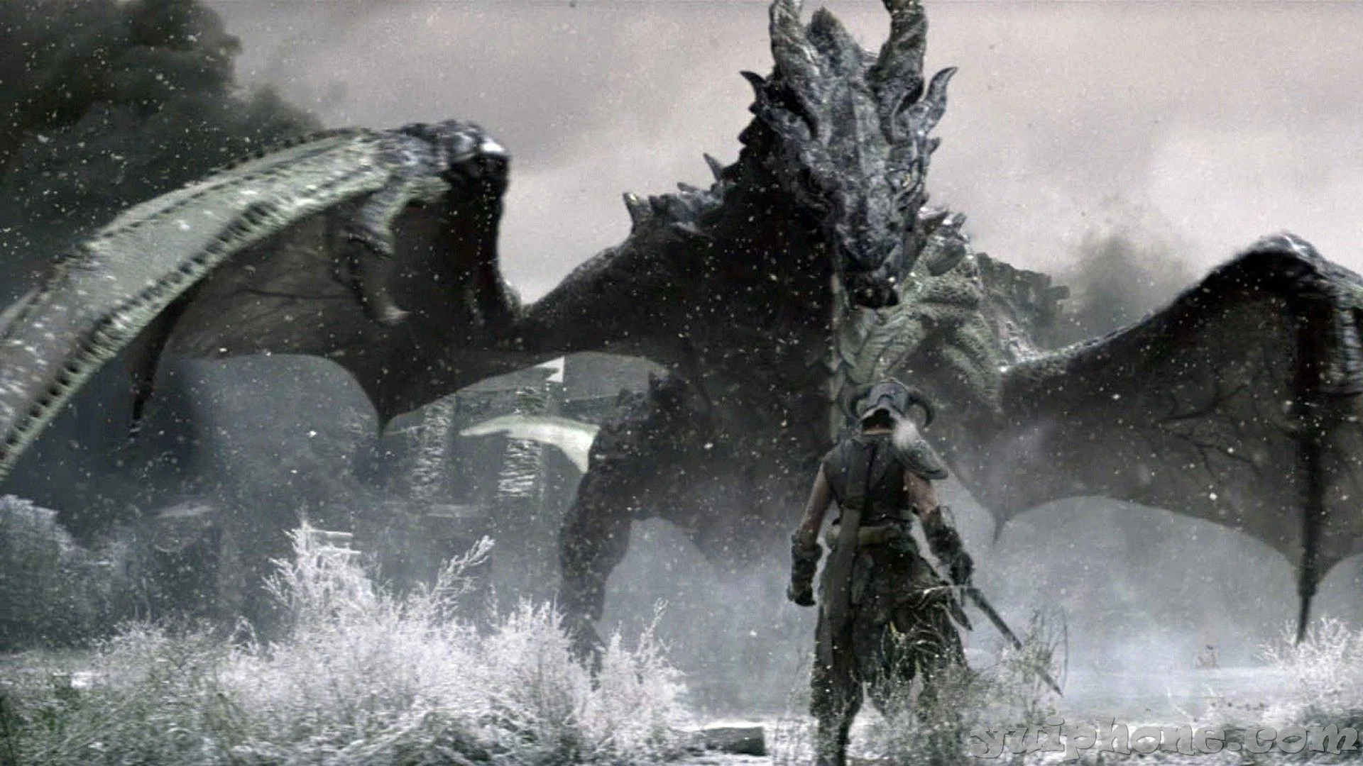 Ragnar profile banner