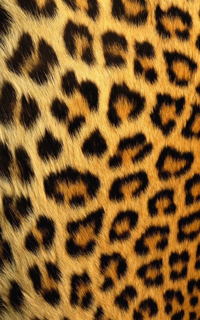 MissFayeLouise profile banner