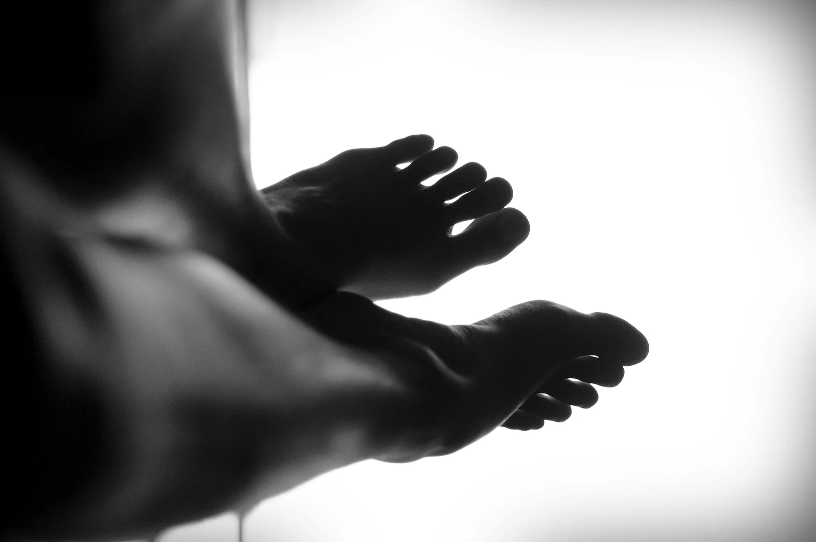 Golden Toes profile banner