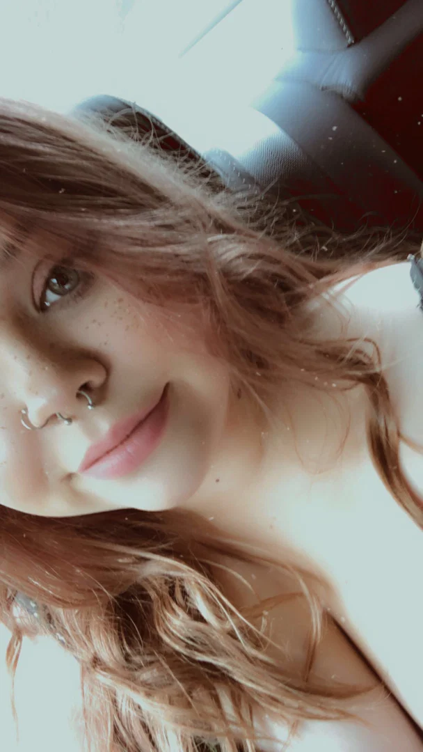 Bunny profile banner